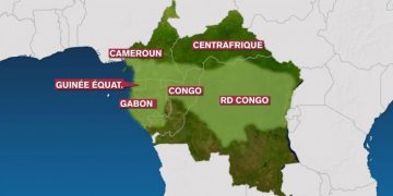 Marchés carbone : les pays du bassin du Congo tracent une feuille de route stratégique