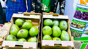 Burkina Faso : lancement de la campagne fruitière 2026