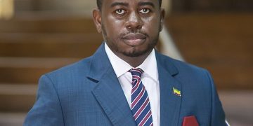 Mali : nouveau représentant de la BAD en poste