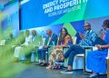 Sommet Nigeria 2026 : L’énergie au cœur de la paix africaine