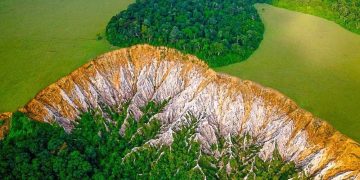 Gabon : objectif de 30 % du territoire protégé d’ici 2030
