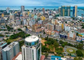 Tanzanie : Fitch confirme la note souveraine à B+ stable