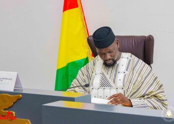 Guinée : création du Guinea Development Board pour accélérer l’investissement