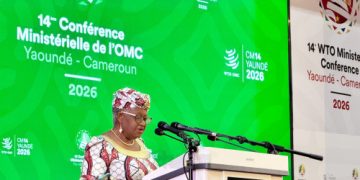 OMC : Yaoundé au cœur des enjeux du commerce mondial