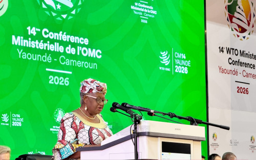 OMC : Yaoundé au cœur des enjeux du commerce mondial