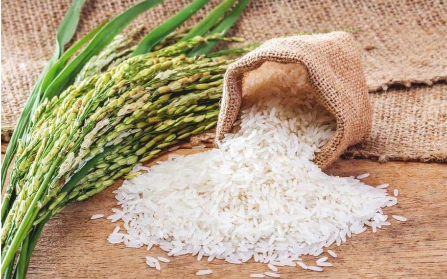 Sénégal : l&rsquo;État subventionne le prix du riz local à hauteur de 50 FCFA/kg