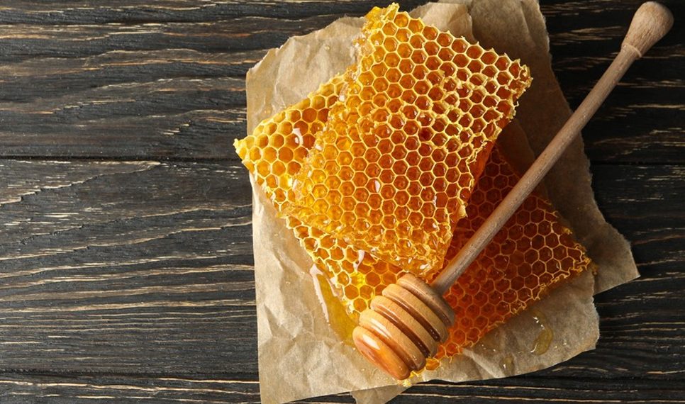 Côte d’Ivoire : un partenariat pour dynamiser l’apiculture