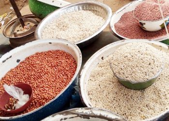 Niger : hausse des prix du mil et du sorgho