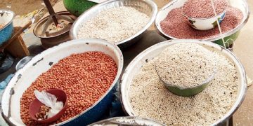 Niger : hausse des prix du mil et du sorgho