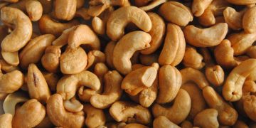 Côte d’Ivoire : 150 000 t de cajou menacées faute de financement