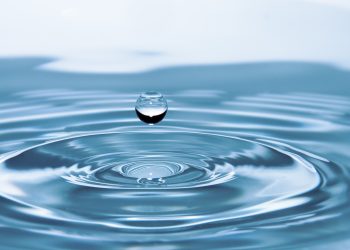 Eau : la Banque mondiale lance l’initiative Water Forward