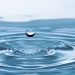 Eau : la Banque mondiale lance l’initiative Water Forward