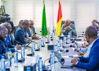 Guinée : des investisseurs séduits par  Simandou 2040