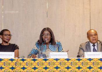 Côte d’Ivoire : le portefeuille de l’État double son chiffre d’affaires en 4 ans