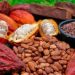 Cacao : Abidjan et Accra unissent leurs forces contre le Swollen Shoot