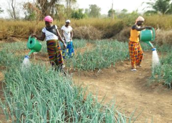 Nigéria : 61 millions $ de la BAD pour financer les entreprises féminines