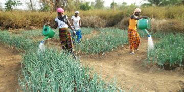 Nigéria : 61 millions $ de la BAD pour financer les entreprises féminines