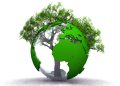 Afrique : miser sur les ressources domestiques pour financer le développement durable