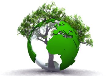 Afrique : miser sur les ressources domestiques pour financer le développement durable