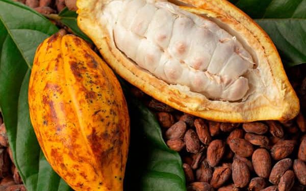 Hartree Partners rachète le négociant agricole français Touton