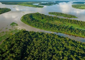 Bassin du Congo : plus de 3 milliards $ mobilisés pour 63 projets verts