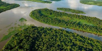 Bassin du Congo : plus de 3 milliards $ mobilisés pour 63 projets verts