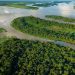 Bassin du Congo : plus de 3 milliards $ mobilisés pour 63 projets verts