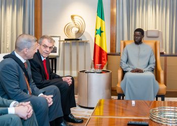 Sénégal : GAUFF soolicité pour l’électrification rurale et l’assainissement
