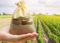 Agriculture : les revenus agricoles progresseraient de 9 % d’ici 2035