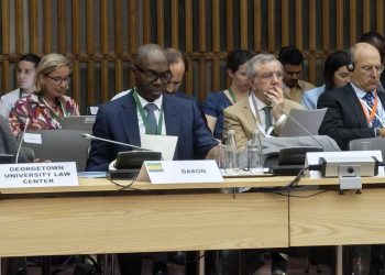 Forum de Paris : le Gabon plaide pour une dette soutenable