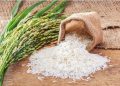 Sénégal : des mesures pour accélérer la vente du riz local