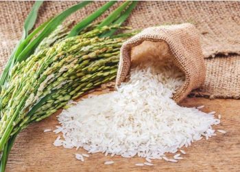Sénégal : des mesures pour accélérer la vente du riz local