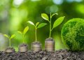 Financement climatique : les banques multilatérales mobilisent 103 milliards USD