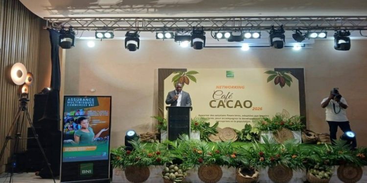 Côte d’Ivoire : 300 milliards FCFA de la BNI pour la prochaine campagne cacao