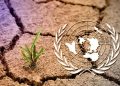 Égypte : la COP18 sur la désertification se tiendra en 2028