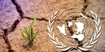 Égypte : la COP18 sur la désertification se tiendra en 2028