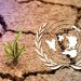 Égypte : la COP18 sur la désertification se tiendra en 2028