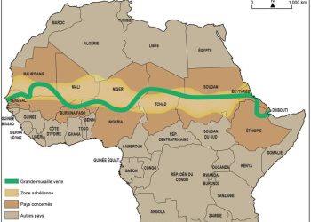 Grande muraille verte : la BAD accélère la mobilisation des financements en Afrique
