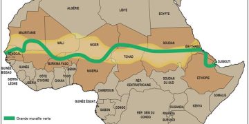 Grande muraille verte : la BAD accélère la mobilisation des financements en Afrique