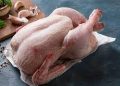 Gabon : 562 400 poussins pour préparer l’arrêt des importations