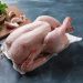 Gabon : 562 400 poussins pour préparer l’arrêt des importations