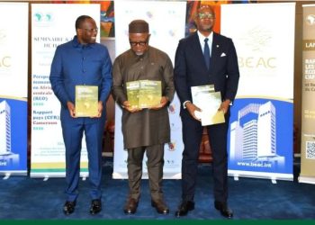Afrique centrale : la BAD chiffre à 35,6 milliards de dollars le déficit annuel de financement