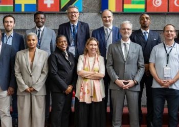 BAD-France : un financement plus intégré des projets en Afrique