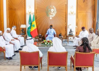 Sénégal-Émirats : de nouveaux projets dans l’énergie