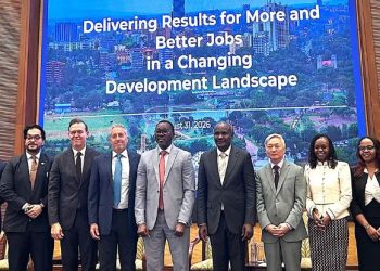 Banques de développement : PIUneer veut améliorer les résultats en Afrique
