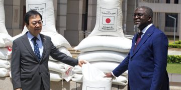 Togo – Japon : 800 millions FCFA pour renforcer la sécurité alimentaire