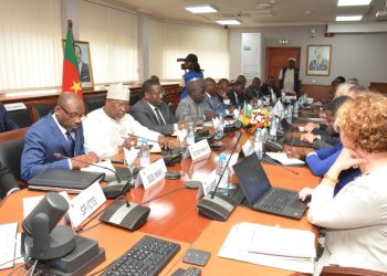 Cameroun : le FMI appelle à renforcer l’efficacité de l’investissement public