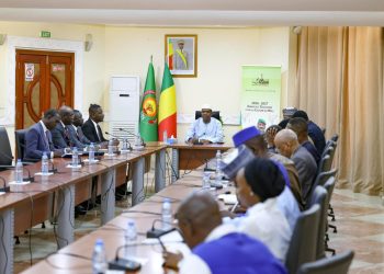 Mali : Bloomfield réévalue la notation financière du pays