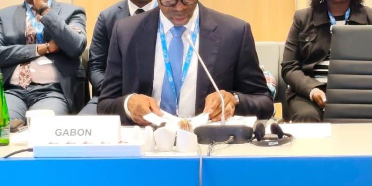 Gabon : Thierry Minko aux Assemblées annuelles du FMI et de la Banque mondiale à Bangkok