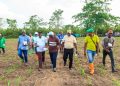 Bénin : le gouvernement évalue la phase pilote d’un programme agricole dans dix communes